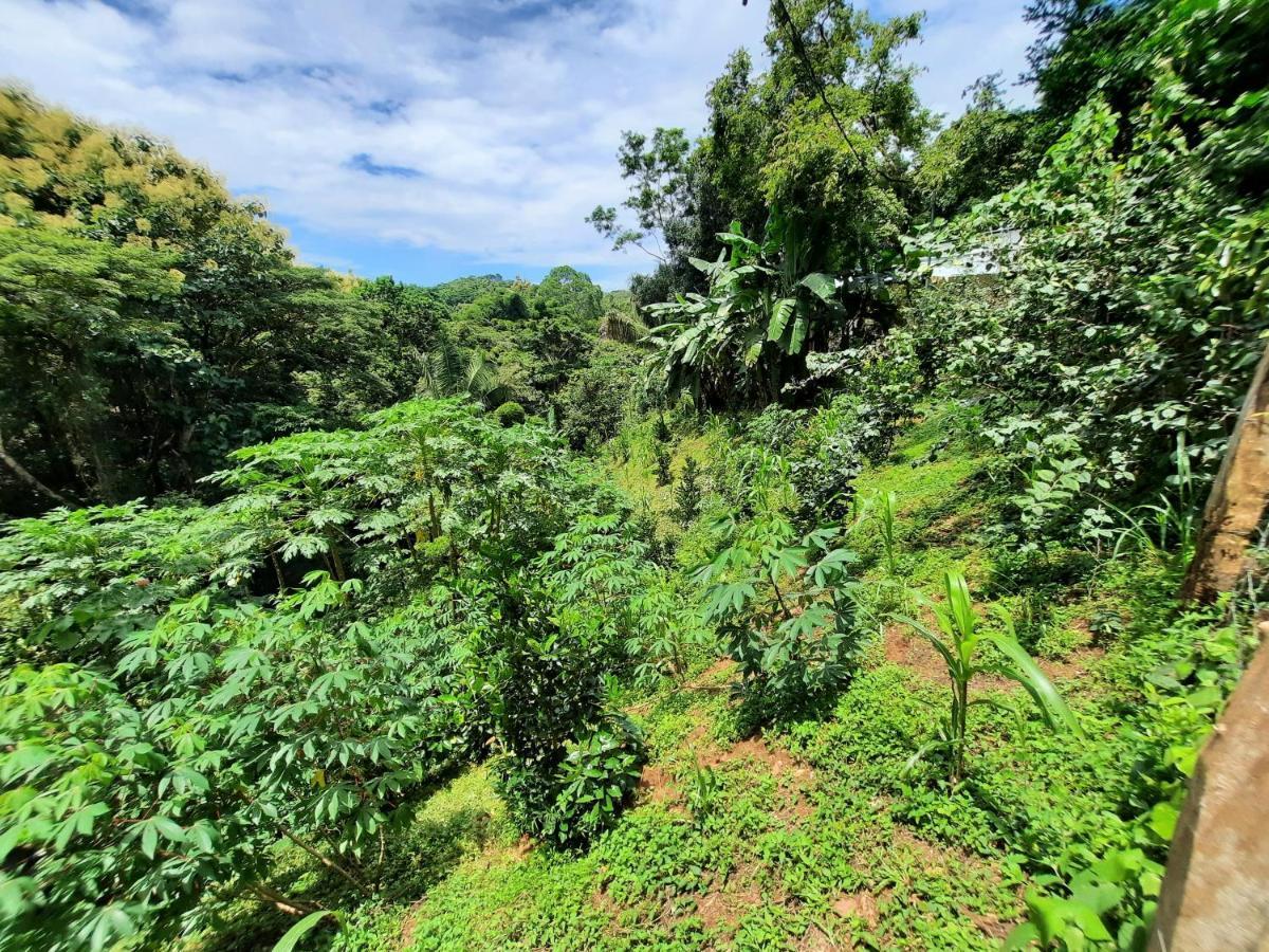 Eco-Turismo Guayacanes Sámara Buitenkant foto